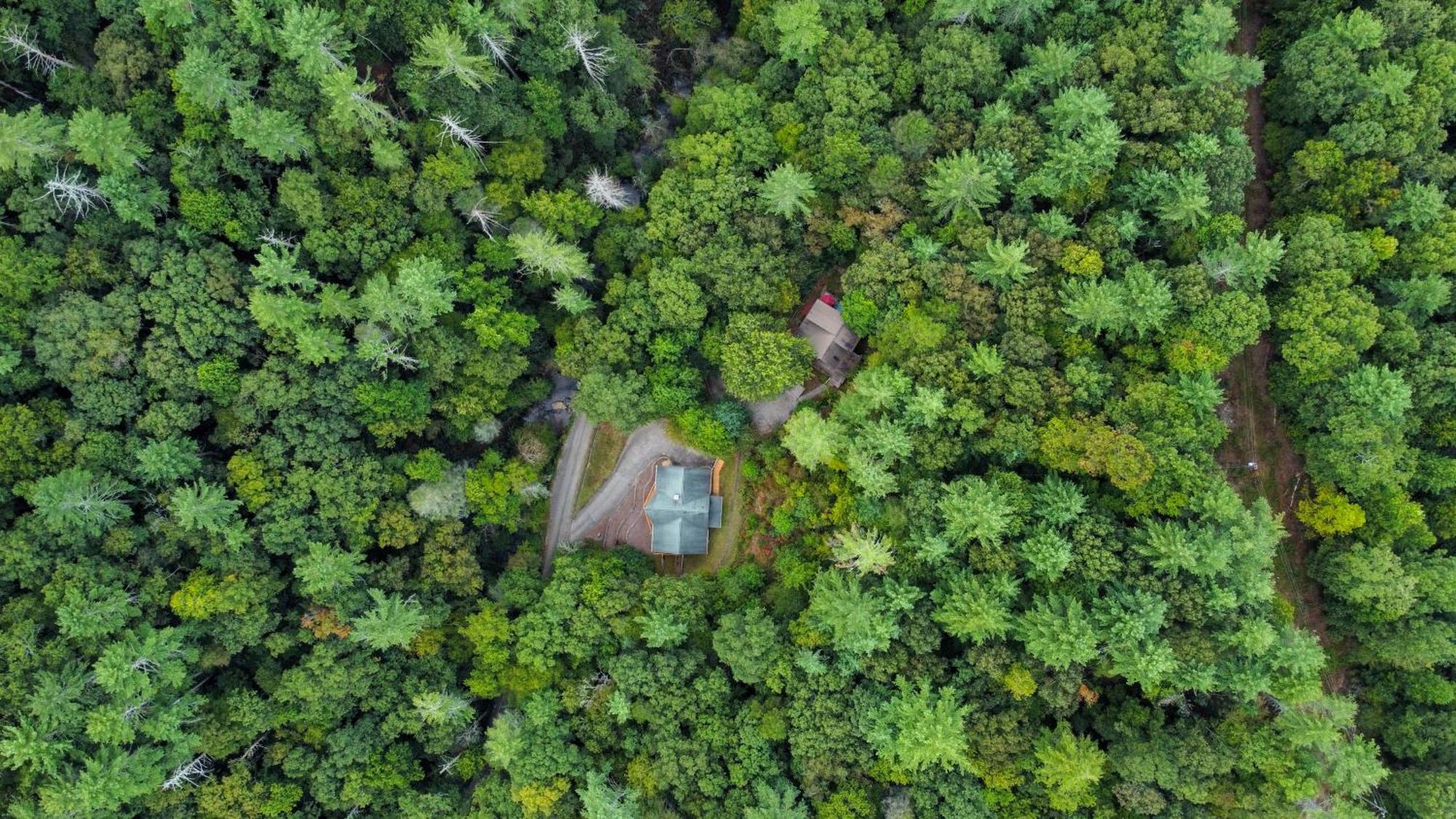 Amazing Creek View Cabin W/ Hot Tub, Firepit & Pool Table Елиджей Екстериор снимка